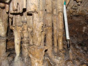 Grotte de Șugău